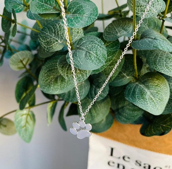 Élégant collier patte argenté – Acier inoxydable