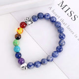 Bracelet commémoratif Rainbow Bridge – Perles 7 Chakras Cadeau pour la perte d'un animal de compagnie