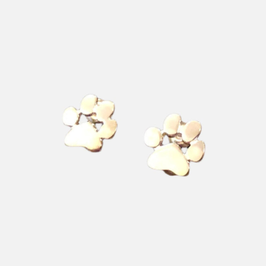 Brincos Hipoalergénicos Patinha — Em Aço Inoxidável